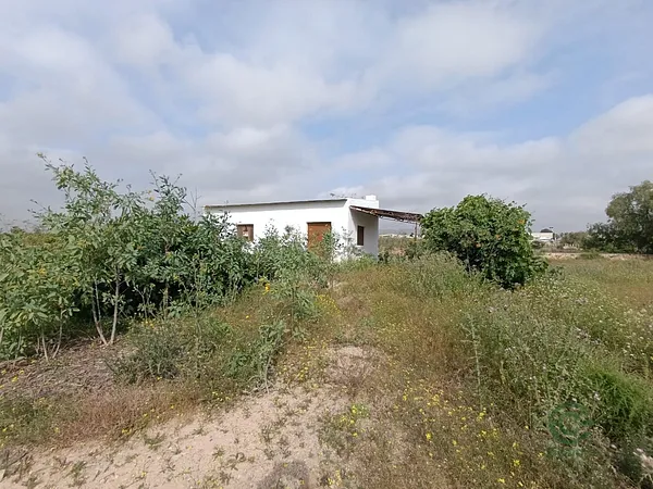 Rustic property of 0,55 ha for sale in Murcia
