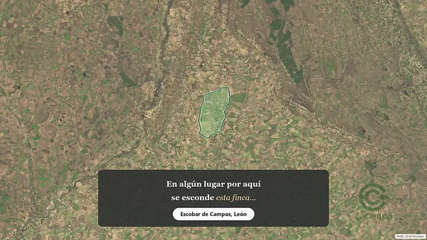 Spot image