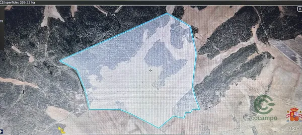Spot image