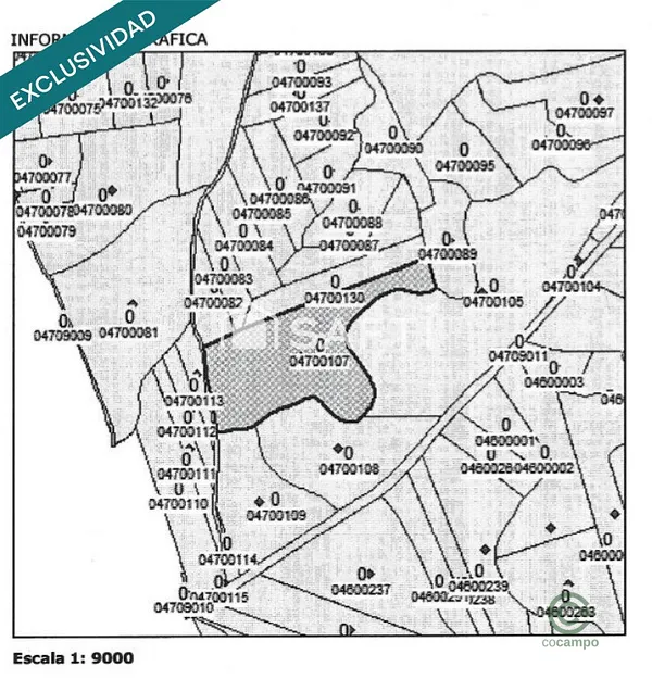 Spot image