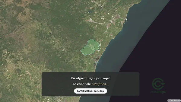 Spot image