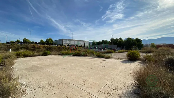 Spot image
