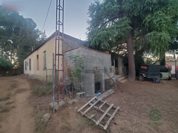 Spot image
