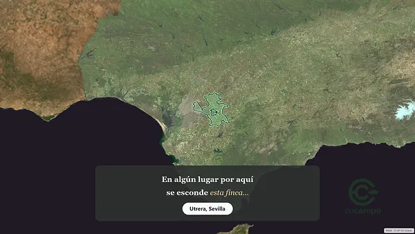 Spot image