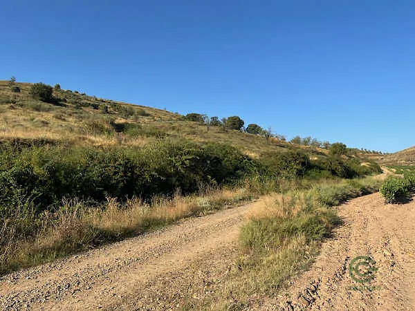 Finca rústica de 1,05 ha en venta en La, Alcanadre, La Rioja