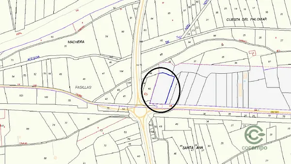 Spot image