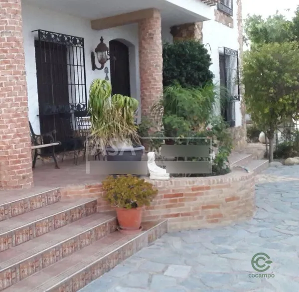 Spot image