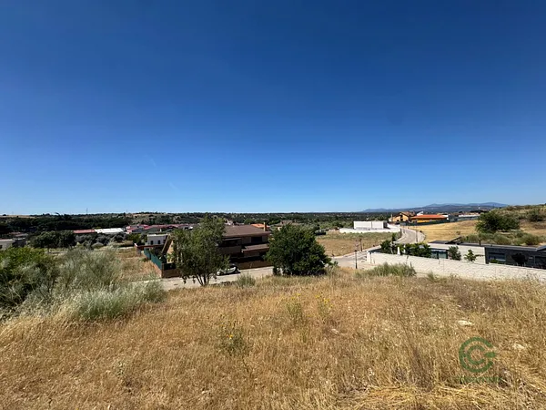 Spot image