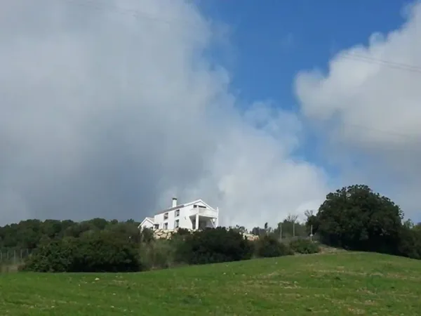 Finca de recreo de 2 ha en venta en Algar, Cadiz