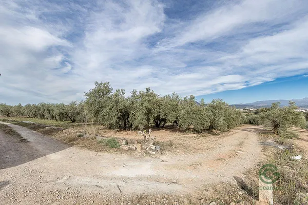 Finca agrícola de 0,393 ha en venta en Albolote, Granada