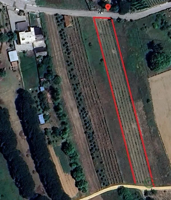 Spot image
