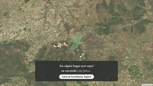 Spot image