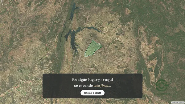 Spot image
