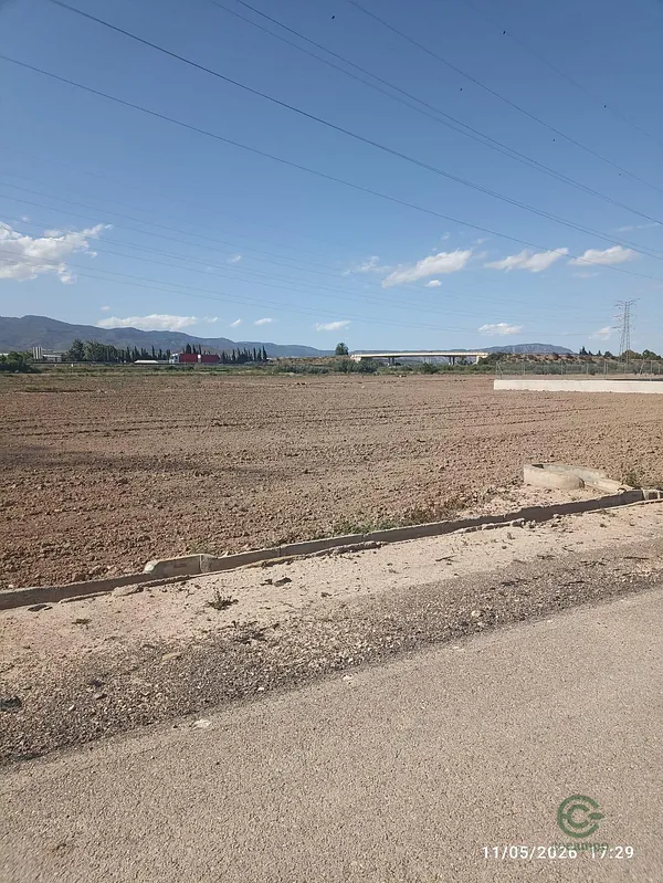 Spot image