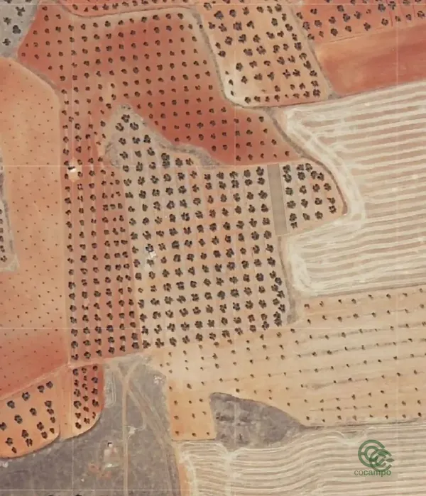 Spot image