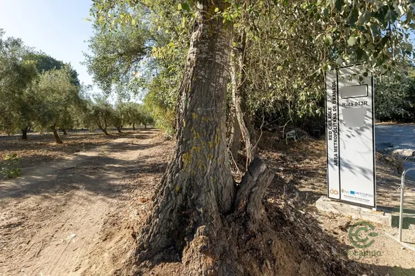 Spot image