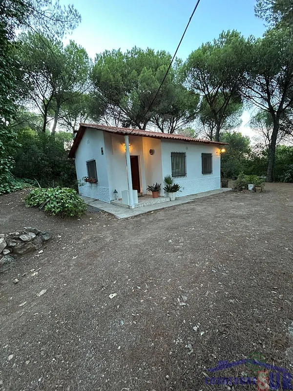 Spot image