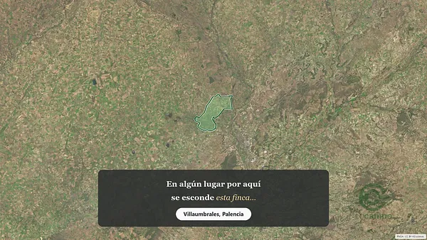 Spot image