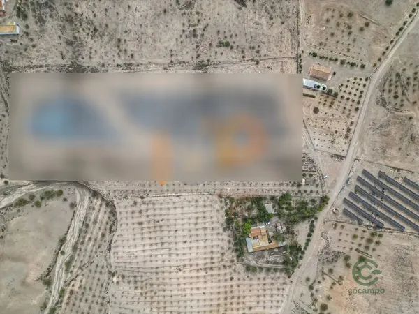 Spot image