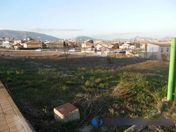 Spot image