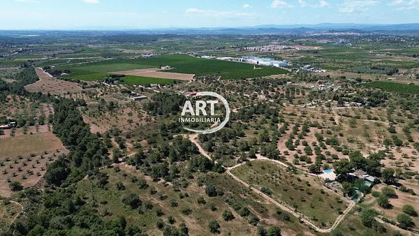 Spot image