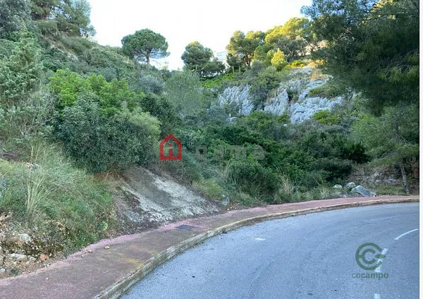 Spot image