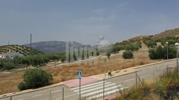 Spot image
