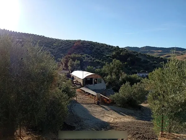 Spot image