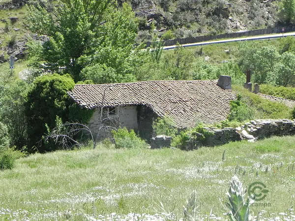 Finca rústica de 5 ha en venta en Guadalajara