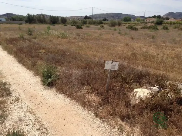Spot image