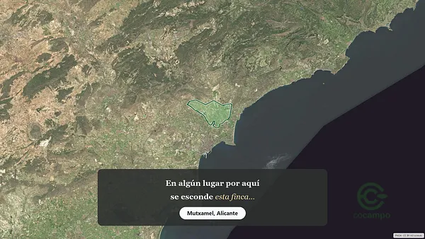 Spot image