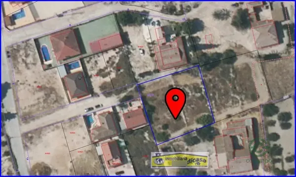Spot image