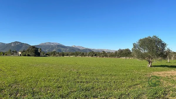 Spot image