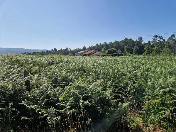 Terreno urbano de 0,1 ha en venta en Brión, La coruña
