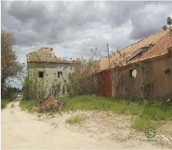 Spot image