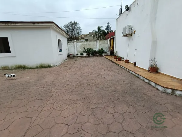 Spot image
