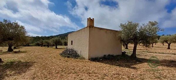 Spot image