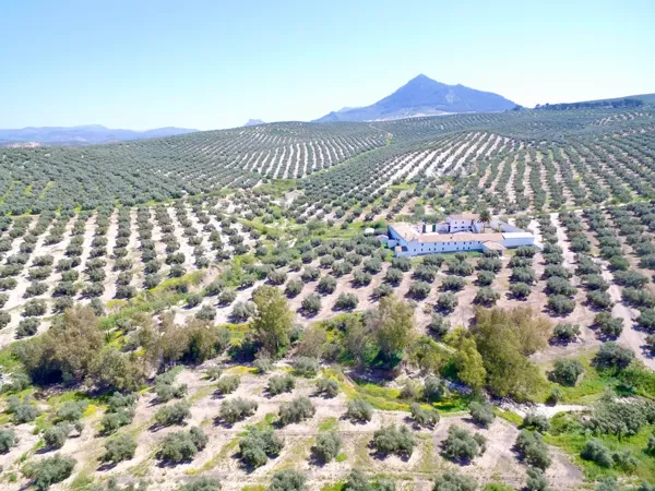 Finca rústica de 143 ha en venta en Córdoba