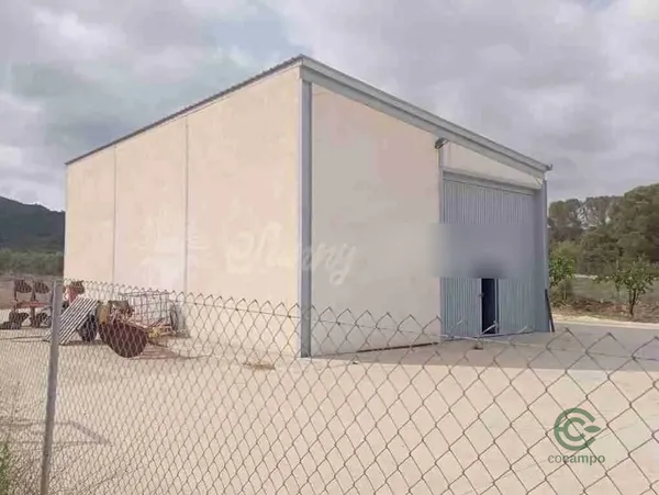 Spot image