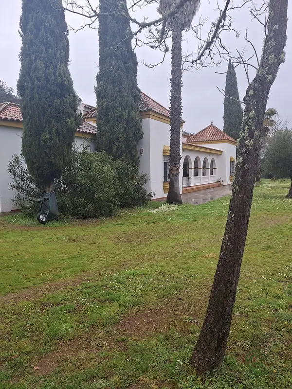 Finca rústica de 21 ha en venta en Sevilla
