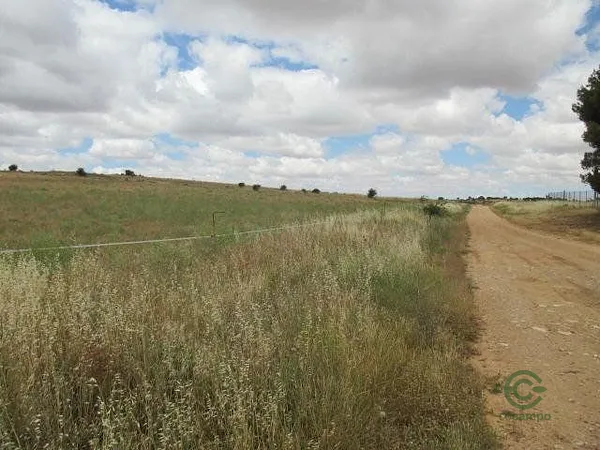 Spot image