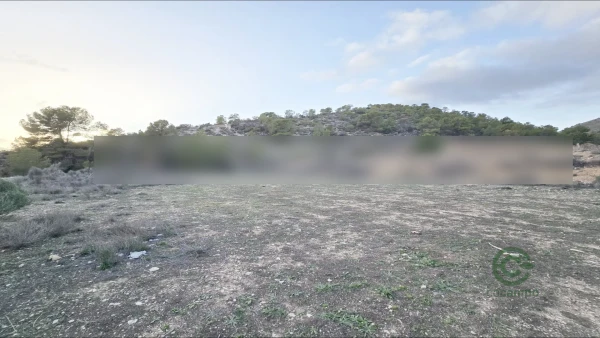 Spot image