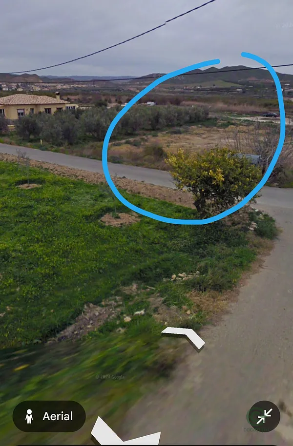 Spot image