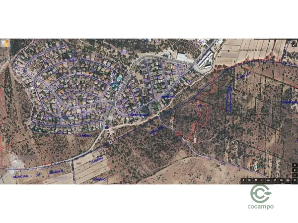 Spot image