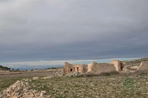 Spot image