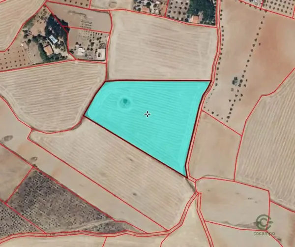 Finca agrícola de 2,36 ha en venta en Santa cruz de mudela, Ciudad real