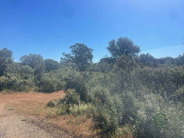 Finca rústica de 0,75 ha en venta en Alija del Infantado, León
