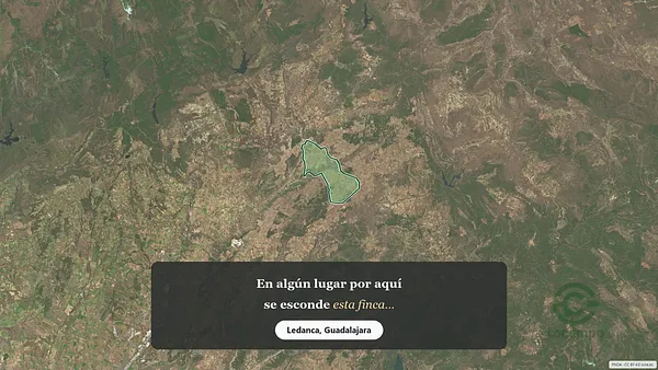 Spot image