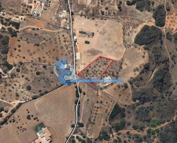 Spot image