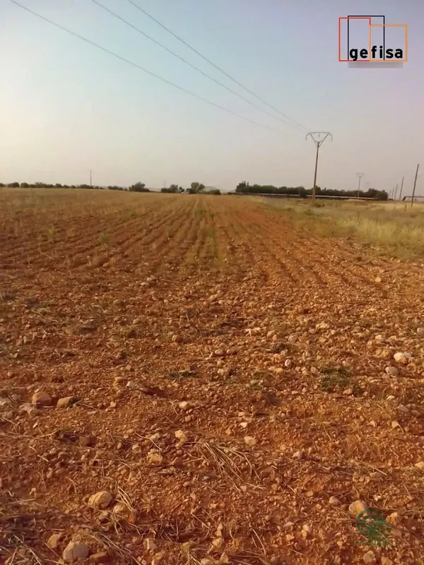 Finca agrícola de 2,1 ha en venta en Valdepenas, Ciudad real